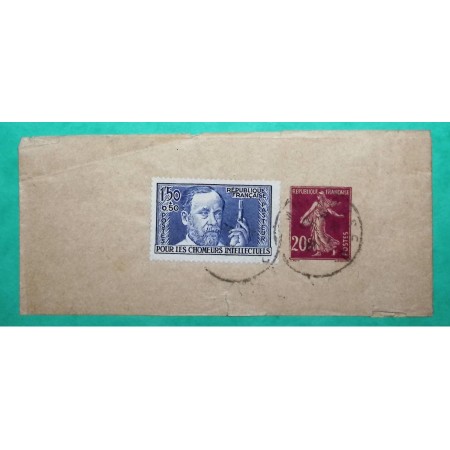 ENTIER SEMEUSE 20C BANDE DE JOURNAL + N°333 PASTEUR CHOMEURS INTELLECTUELS DIJON COTE D'OR 1938 LETTRE COVER FRANCE