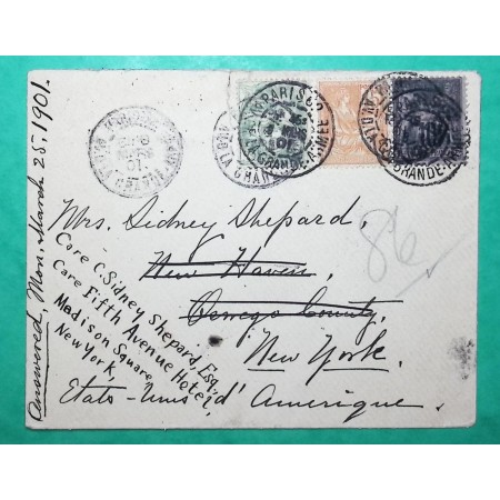 N°89 + 111 + 117 MIXTE SAGE BLANC MOUCHON LEVEE EXCEPTIONNELLE E1 PARIS AVENUE DE LA GRANDE ARMEE POUR NEW YORK USA 1901