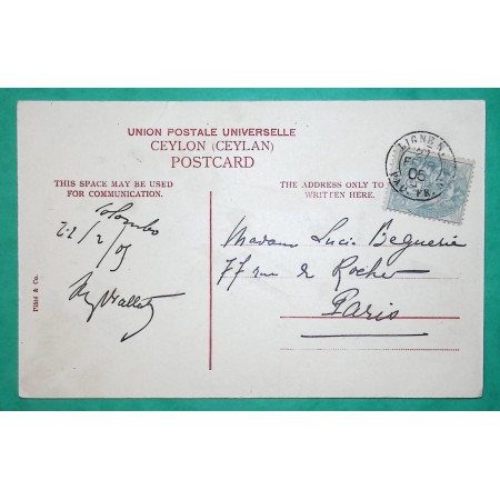 N°111 BLANC CACHET MARITIME TYPE 15 LIGNE N PAQ. FR. N°7 CARTE POSTALE CEYLAN CEYLON POUR PARIS 1905 LETTRE COVER FRANCE