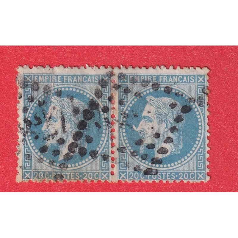 N°29Bb VARIETE A LA CORNE DANS UNE PAIRE SIGNE DELECLUSE