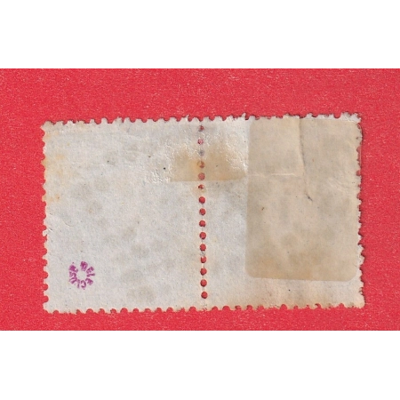 N°29Bb VARIETE A LA CORNE DANS UNE PAIRE SIGNE DELECLUSE